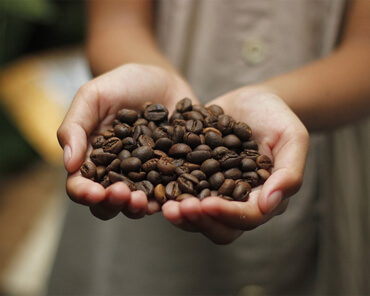 Our Bourbon Kilimanjaro Beans